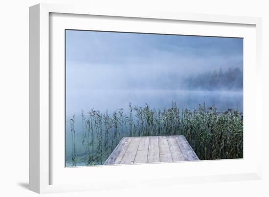 Surrounded-Anne Schneidersmann-Framed Photographic Print