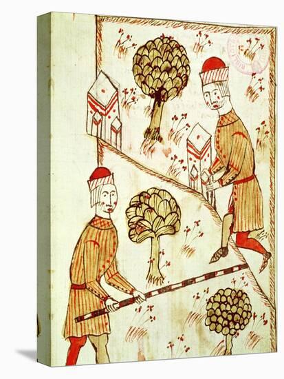 Surveying and Demarcation of Land, from "Traite D'Arpentage" by Arnaud De Villeneuve (1240-1312)-Bertrand Boysset-Stretched Canvas