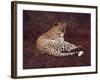 Surveying Her Realm-David Knowlton-Framed Giclee Print