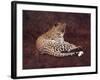 Surveying Her Realm-David Knowlton-Framed Giclee Print