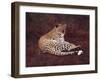 Surveying Her Realm-David Knowlton-Framed Giclee Print