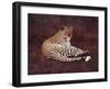 Surveying Her Realm-David Knowlton-Framed Giclee Print