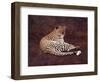 Surveying Her Realm-David Knowlton-Framed Giclee Print