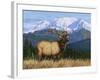 Surveying His Domain-William Vanderdasson-Framed Giclee Print