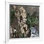 Surveying the Route for the Transcontinental Railroad Through Humboldt Pass, Sierra Nevada-null-Framed Giclee Print