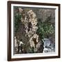 Surveying the Route for the Transcontinental Railroad Through Humboldt Pass, Sierra Nevada-null-Framed Giclee Print