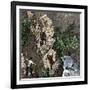 Surveying the Route for the Transcontinental Railroad Through Humboldt Pass, Sierra Nevada-null-Framed Giclee Print