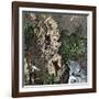 Surveying the Route for the Transcontinental Railroad Through Humboldt Pass, Sierra Nevada-null-Framed Giclee Print