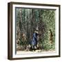 Surveyors Lawson and Degraffenried Captured by Native Americans in the Carolinas, 1711-null-Framed Giclee Print