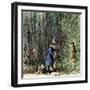 Surveyors Lawson and Degraffenried Captured by Native Americans in the Carolinas, 1711-null-Framed Giclee Print