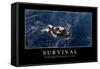 Survival: Inspirational Quote and Motivational Poster-null-Framed Stretched Canvas