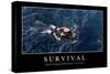 Survival: Inspirational Quote and Motivational Poster-null-Stretched Canvas