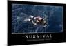 Survival: Inspirational Quote and Motivational Poster-null-Mounted Photographic Print