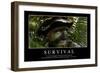 Survival: Inspirational Quote and Motivational Poster-null-Framed Photographic Print