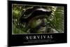 Survival: Inspirational Quote and Motivational Poster-null-Mounted Photographic Print