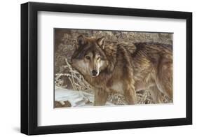 Survivor-Kalon Baughan-Framed Giclee Print