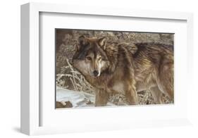 Survivor-Kalon Baughan-Framed Giclee Print