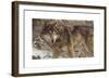 Survivor-Kalon Baughan-Framed Giclee Print