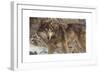 Survivor-Kalon Baughan-Framed Giclee Print