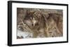 Survivor-Kalon Baughan-Framed Giclee Print