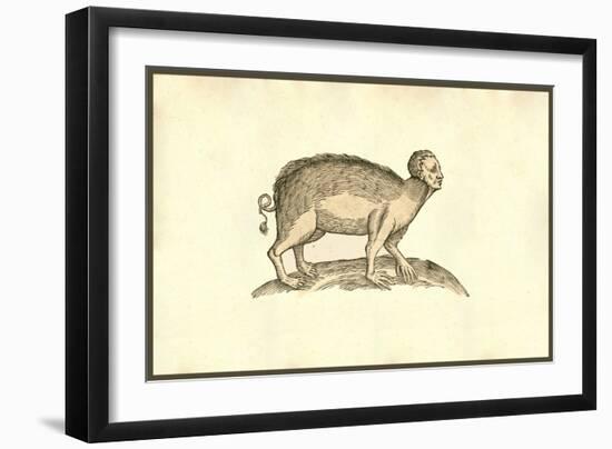 Sus Capite & Pedibus Humanis-Ulisse Aldrovandi-Framed Art Print