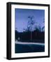 Susan and Roy's Pool, 2008-Alessandro Raho-Framed Giclee Print