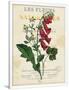 Gramercy White