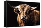 Canvas Black