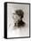 Susan B. Anthony, American Women's Rights Pioneer in 1870s-null-Framed Stretched Canvas