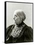 Susan B. Anthony, in 1890s-null-Framed Stretched Canvas