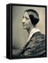 Susan B. Anthony-null-Framed Stretched Canvas