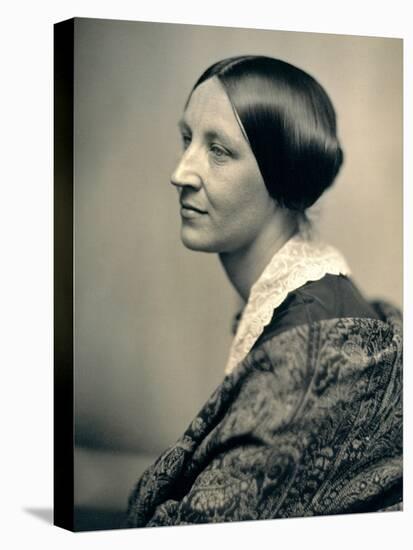 Susan B. Anthony-null-Stretched Canvas