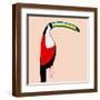 Brown Frame