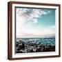 Brown Frame