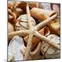 Wood Mount