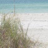 Beach Scene III-Susan Bryant-Photo