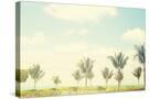 Stretched Canvas