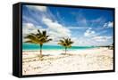 Canvas Black