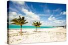 Stretched Canvas