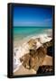 Essential Black