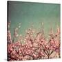 Stretched Canvas