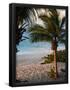 Essential Black