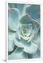 Gramercy White