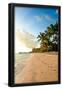 Essential Black