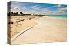 Stretched Canvas