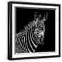 Black Frame