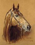 Polo-Susan Crawford-Premium Giclee Print