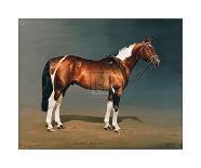 Polo-Susan Crawford-Premium Giclee Print