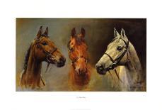 Rhinestone Cowboy-Susan Crawford-Premium Giclee Print