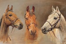 We Three Kings-Susan Crawford-Giclee Print